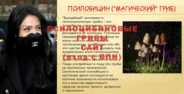 ECSTASY Лабытнанги