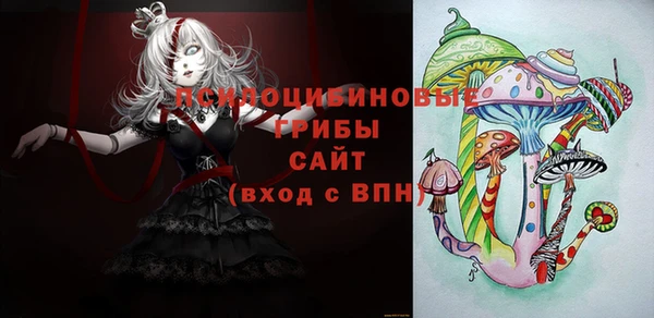 ECSTASY Лабытнанги
